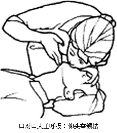 229_260gif 动态图 动图